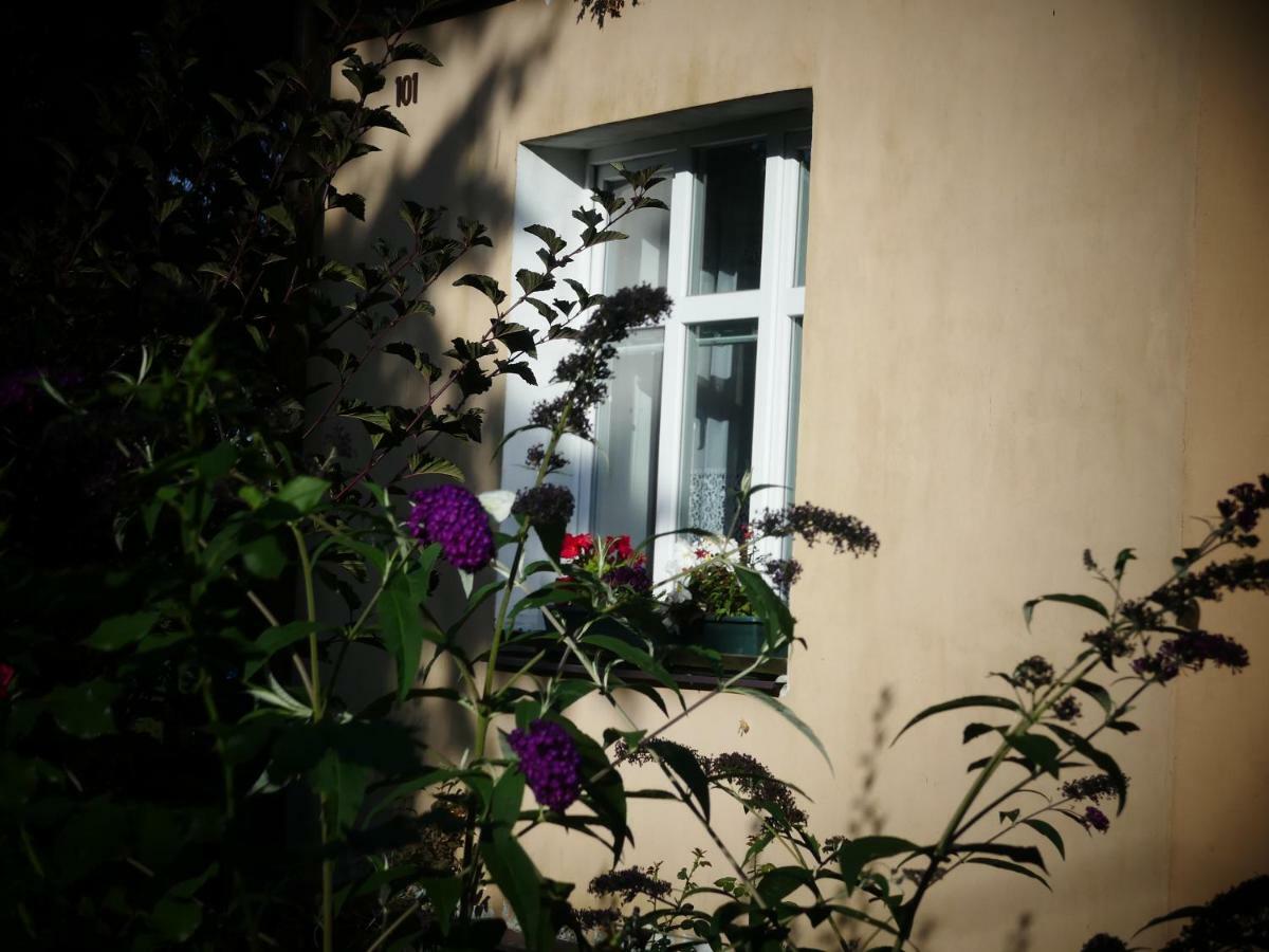 Venkovske Apartmany Tiche Pastviny Kamenicky Senov Luaran gambar
