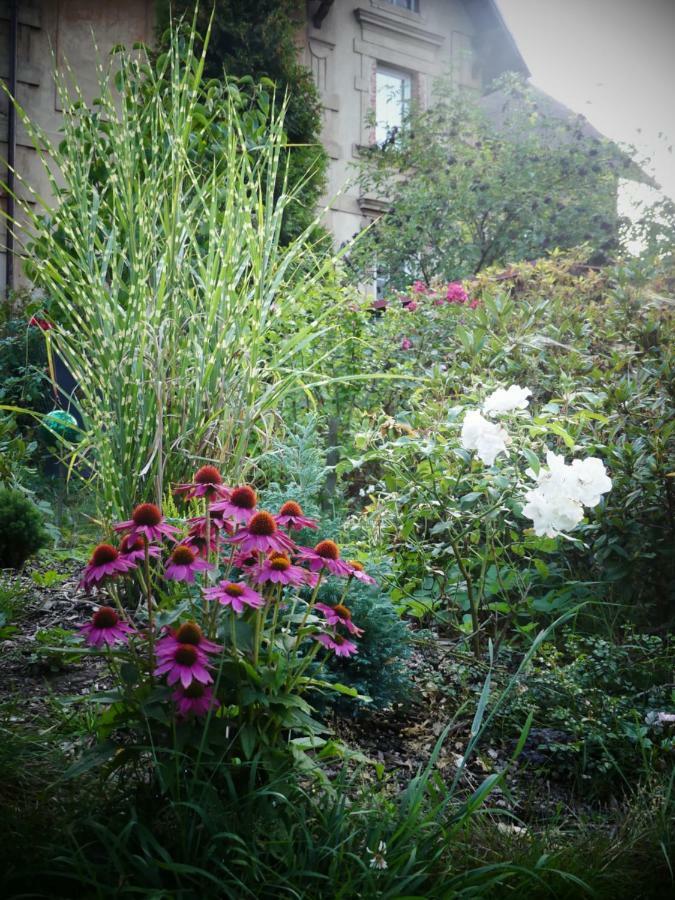 Venkovske Apartmany Tiche Pastviny Kamenicky Senov Luaran gambar