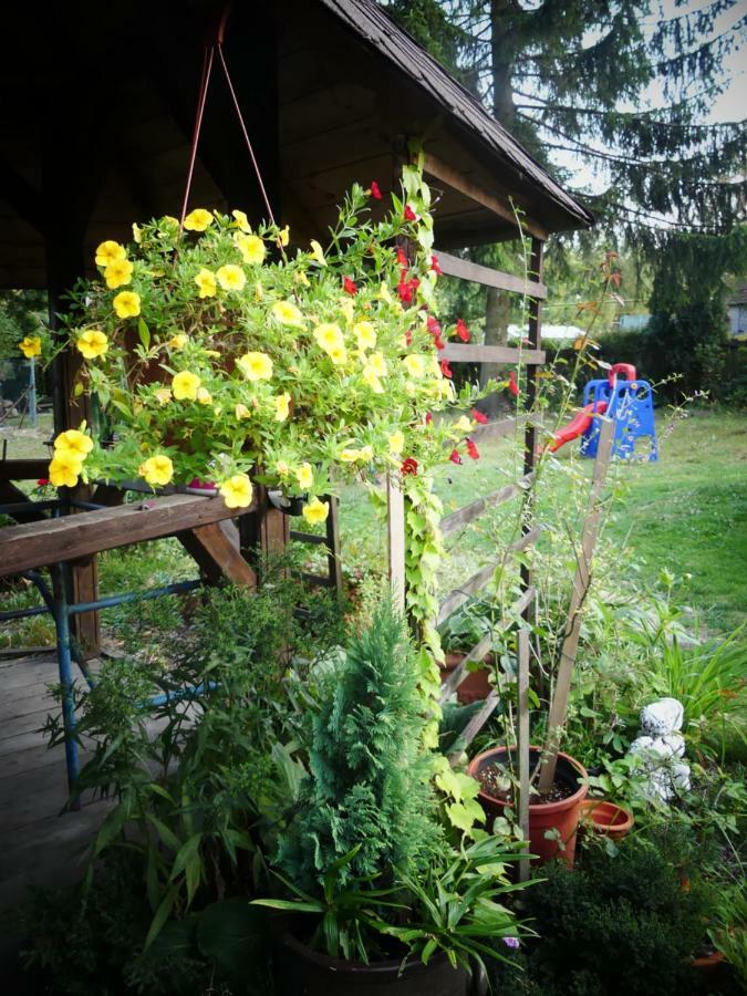 Venkovske Apartmany Tiche Pastviny Kamenicky Senov Luaran gambar